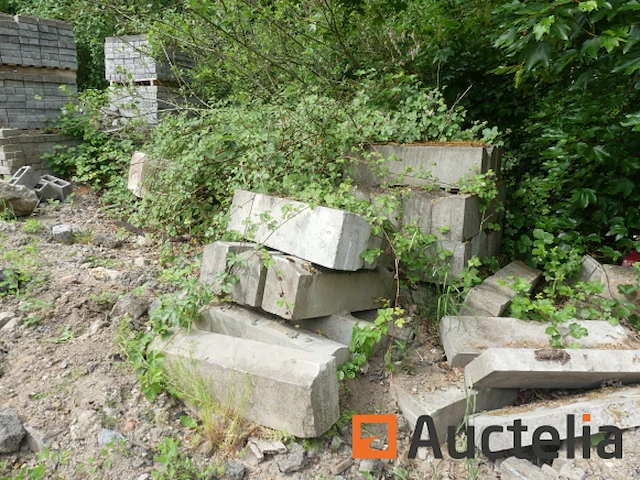 25 stoepranden met afgeschuinde randen - afbeelding 1 van  4
