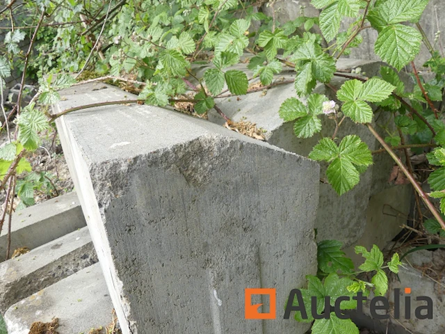 25 stoepranden met afgeschuinde randen - afbeelding 2 van  4