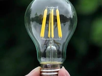25 x filament lamp a60 – 6w – e27 – dimbaar – 2700k – 500 lm – ip20 – binnen - afbeelding 1 van  3