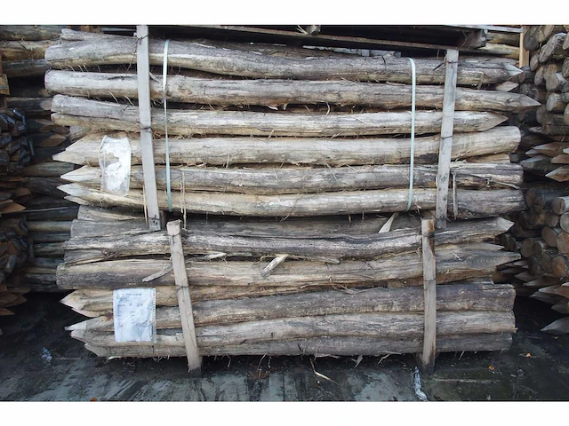 25x acacia paal dia 14/16 - afbeelding 1 van  3