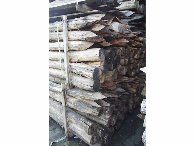 25x acacia paal dia 14/16 - afbeelding 3 van  3