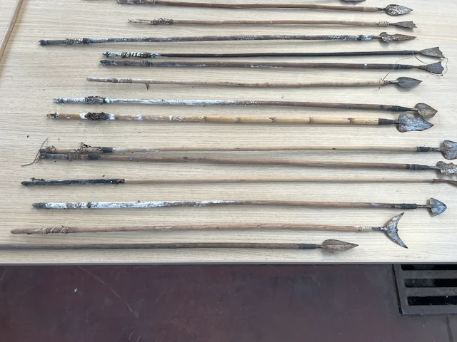25x afrikaanse pijlen - afbeelding 2 van  4