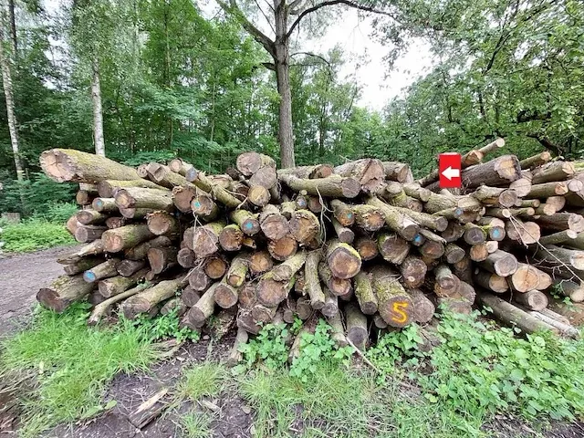 27 stère eik - afbeelding 1 van  1