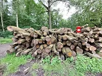 27 stère eik - afbeelding 1 van  1