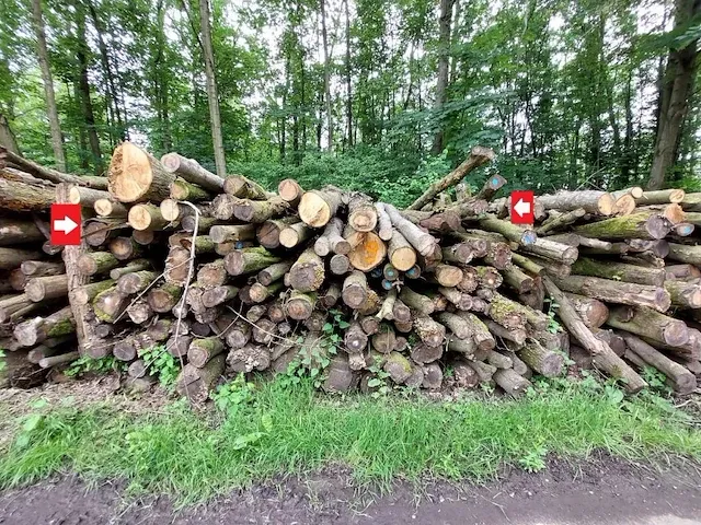 27 stère eik - afbeelding 1 van  1