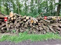27 stère eik - afbeelding 1 van  1