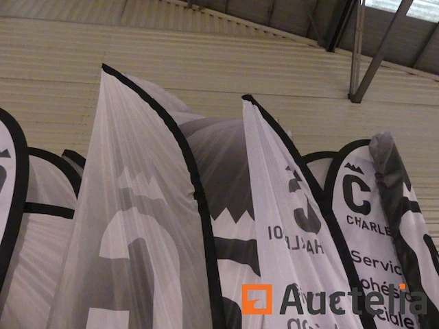 27 vlag deuren - afbeelding 3 van  4