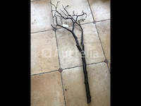 28 decoratieve boomtakken - afbeelding 6 van  6