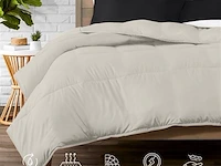 2in1 dekbed 240x200cm+hoofdkussens all season - afbeelding 3 van  7