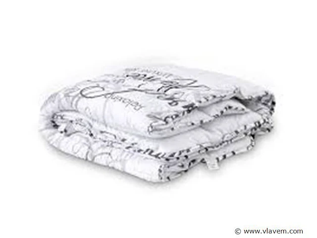 2in1 dekbed 240x200cm+hoofdkussens - afbeelding 1 van  4
