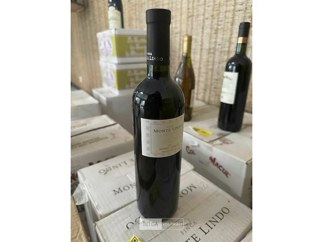 2x 1 doos monte lindo malbec merlot 2005 - afbeelding 1 van  3