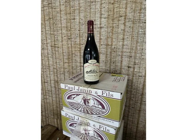 2x 1 doos saint amour domaine des pins 2013 - afbeelding 1 van  5