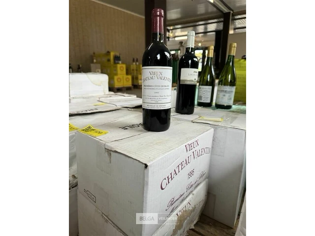 2x 1 doos vieux chauteau valentin premieres cotes de blaye 1995 - afbeelding 5 van  5
