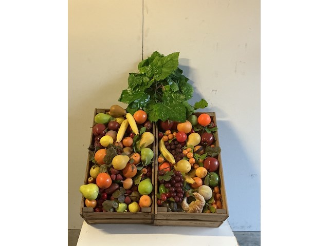 2x bakken "nepfruit" - afbeelding 1 van  1