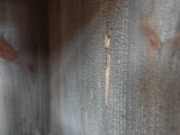 2x houten wandmeubel - afbeelding 3 van  3