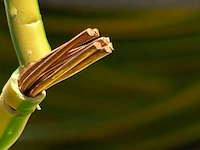 2x kabel op rol - afbeelding 5 van  8