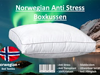2x norwegian anti-stress boxkussen