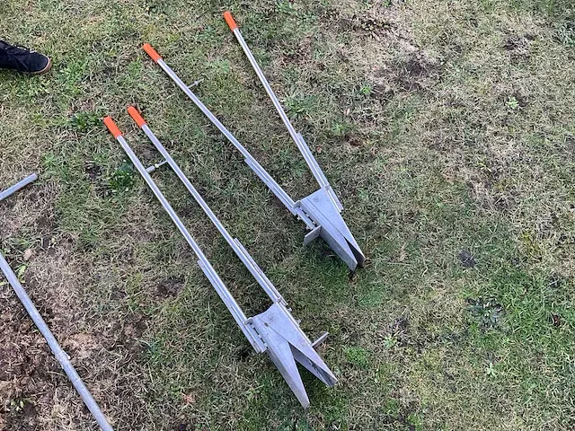 2x prairieplanter - afbeelding 1 van  4