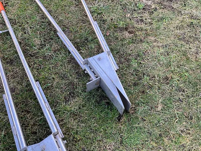 2x prairieplanter - afbeelding 3 van  4