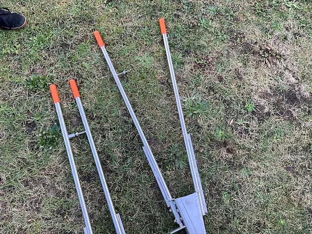 2x prairieplanter - afbeelding 4 van  4
