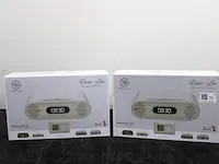 2x rosie-lee bluetooth radio