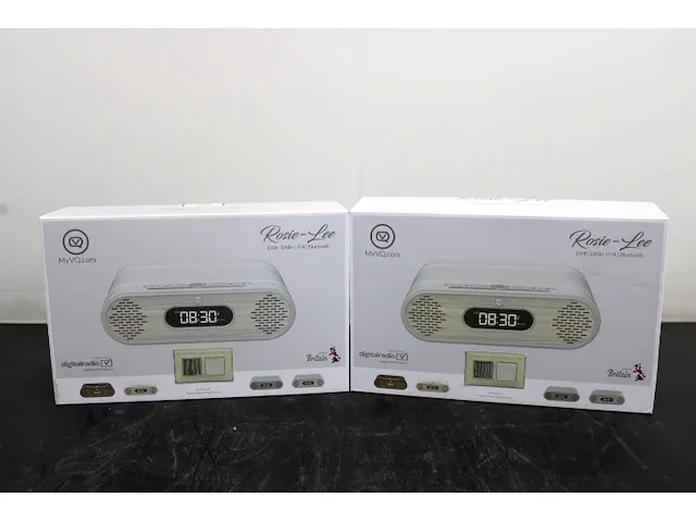 2x rosie-lee bluetooth radio - afbeelding 1 van  4