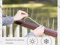 2x vogelspikes doorzichtig polycarbonaat tot 4,9m - afbeelding 1 van  4