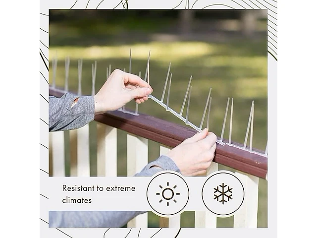 2x vogelspikes doorzichtig polycarbonaat tot 4,9m - afbeelding 1 van  4