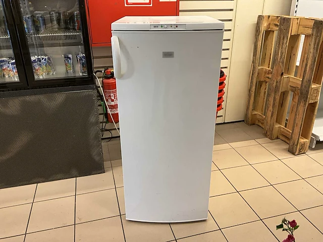 2x vriezer zanussi/proline (zonder inhoud). - afbeelding 1 van  7