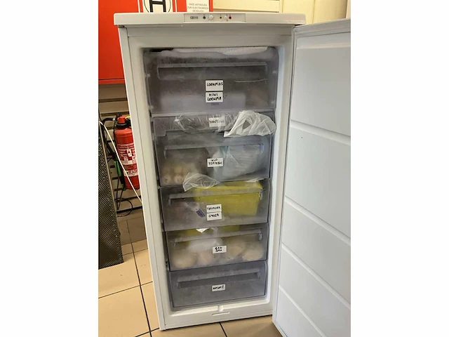 2x vriezer zanussi/proline (zonder inhoud). - afbeelding 2 van  7