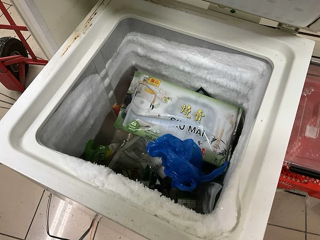 2x vriezer zanussi/proline (zonder inhoud). - afbeelding 7 van  7