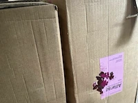2x4 fles alfaraz colheita seleccionada 2009 - afbeelding 5 van  6