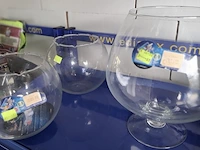 3 aquarium flamingo - afbeelding 2 van  2
