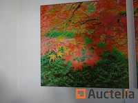 3 decoratieve frames 1m/1m die een bos voorstellen - afbeelding 2 van  4