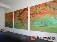 3 decoratieve frames 1m/1m die een bos voorstellen - afbeelding 4 van  4