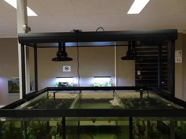 3-delige aquarium - afbeelding 6 van  9