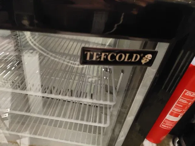 3 deursdrankenkoeling tefcold incl sleutel - afbeelding 2 van  4