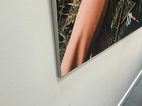 3 diverse decoratieve kaders - afbeelding 3 van  4