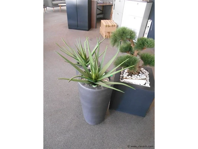 3 diverse plantenbakken - afbeelding 1 van  1