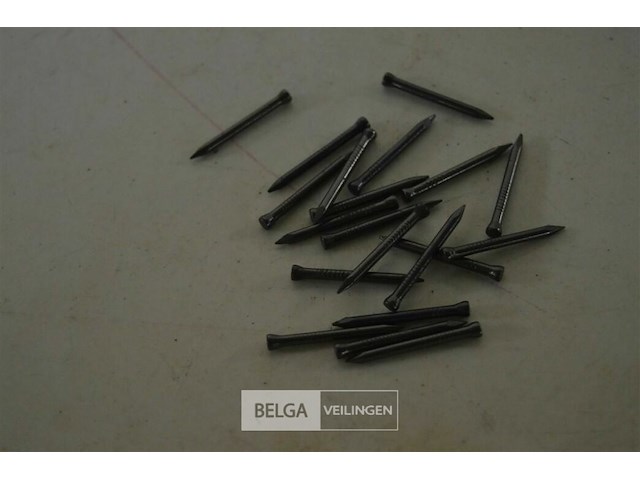 3 dozen staalnagels, 2 dozen verzinkte nagels - afbeelding 3 van  3