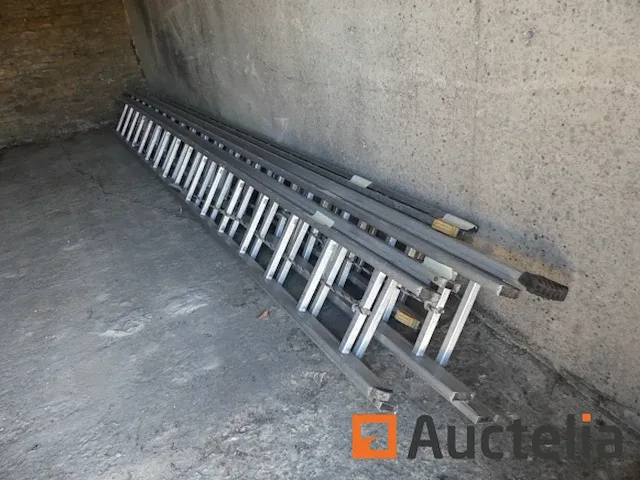 3 dubbele weegschalen - afbeelding 1 van  15