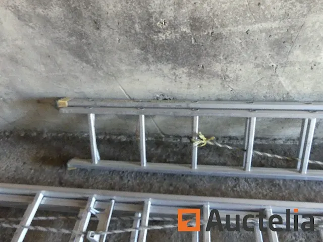 3 dubbele weegschalen - afbeelding 15 van  15