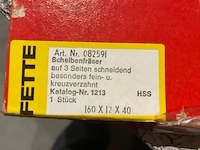 3 fette schijffrezen - afbeelding 5 van  5