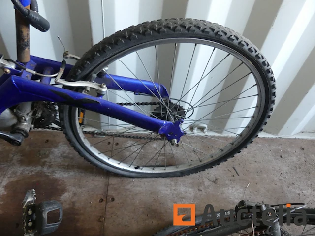 3 fietsen - afbeelding 6 van  19