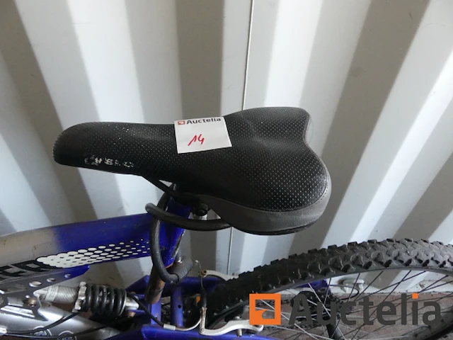 3 fietsen - afbeelding 14 van  19