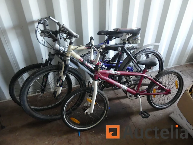 3 fietsen - afbeelding 15 van  19