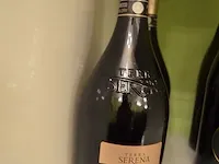 3 fl. mvsa non alcoholic sparkling 75cl, 2 fl. cava roger danoia 75cl, 2 fl. cava roger danoia brut 75cl, 2 fl. prosecco valdo extra dry 75cl, 2 fl. prosecco terra serena extra dry 75cl , 4 fl. munt siroop - afbeelding 6 van  7
