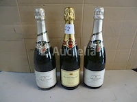 3 flessen champagne (vranken, bernard massart) - afbeelding 1 van  5