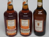 3 flessen diverse sterke drank wo calvados - afbeelding 1 van  2