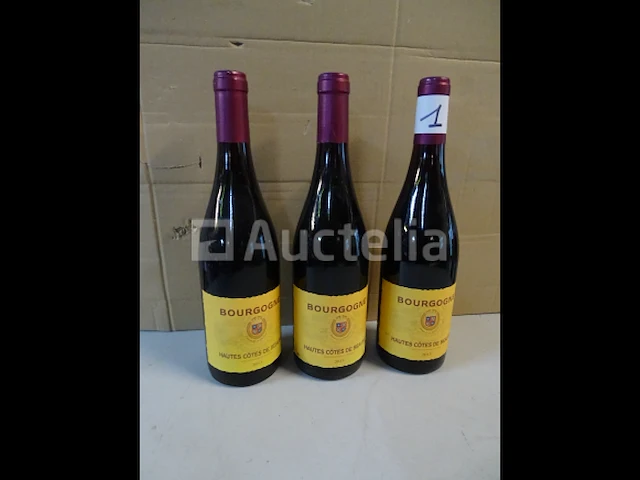 3 flessen hautes côtes de beaune 2013 - afbeelding 4 van  4
